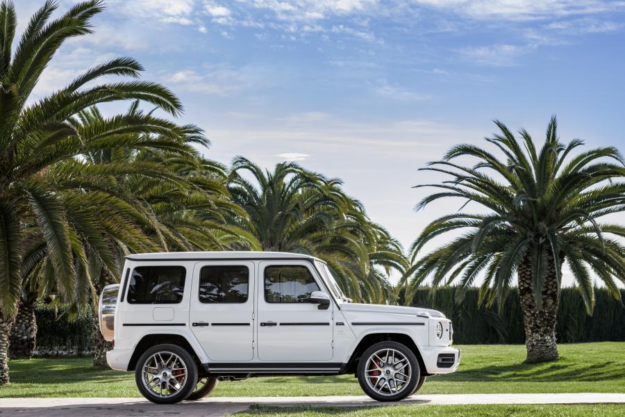  Mercedes-AMG G63 (W464) 2018 года  (WW) (фото 42 из 53)